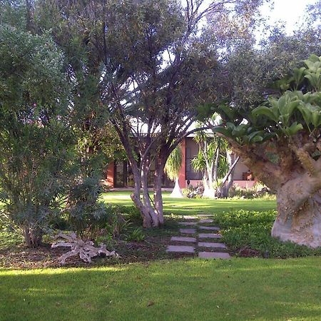 Buschberg Guest Farm Villa Outjo Exterior photo